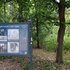 Informationstafel zu Peter Joseph Lenné in einem bewaldeten Parkbereich