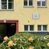Hausfassade mit gelber Putzwand, zwei oberen Fenstern, einem offenen Durchgang links, einer Gedenktafel rechts über zwei kleinen Fenstern und einem Busch mit orangefarbenen Rosen im Vordergrund