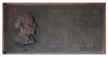 Ansicht Gedenktafel Nikolai Wladimirovich Timoféeff-Ressovsky - Buch