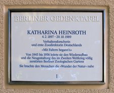 Katharina Heinroth