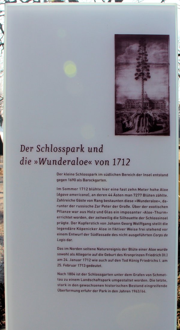 Ansicht Gedenktafel Schlosspark Köpenick und "Wunderaloe"