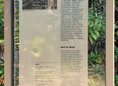 Ansicht Gedenktafel Tschaikowski 13