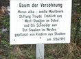 Ansicht Gedenktafel Baum der Versöhnung - 1993